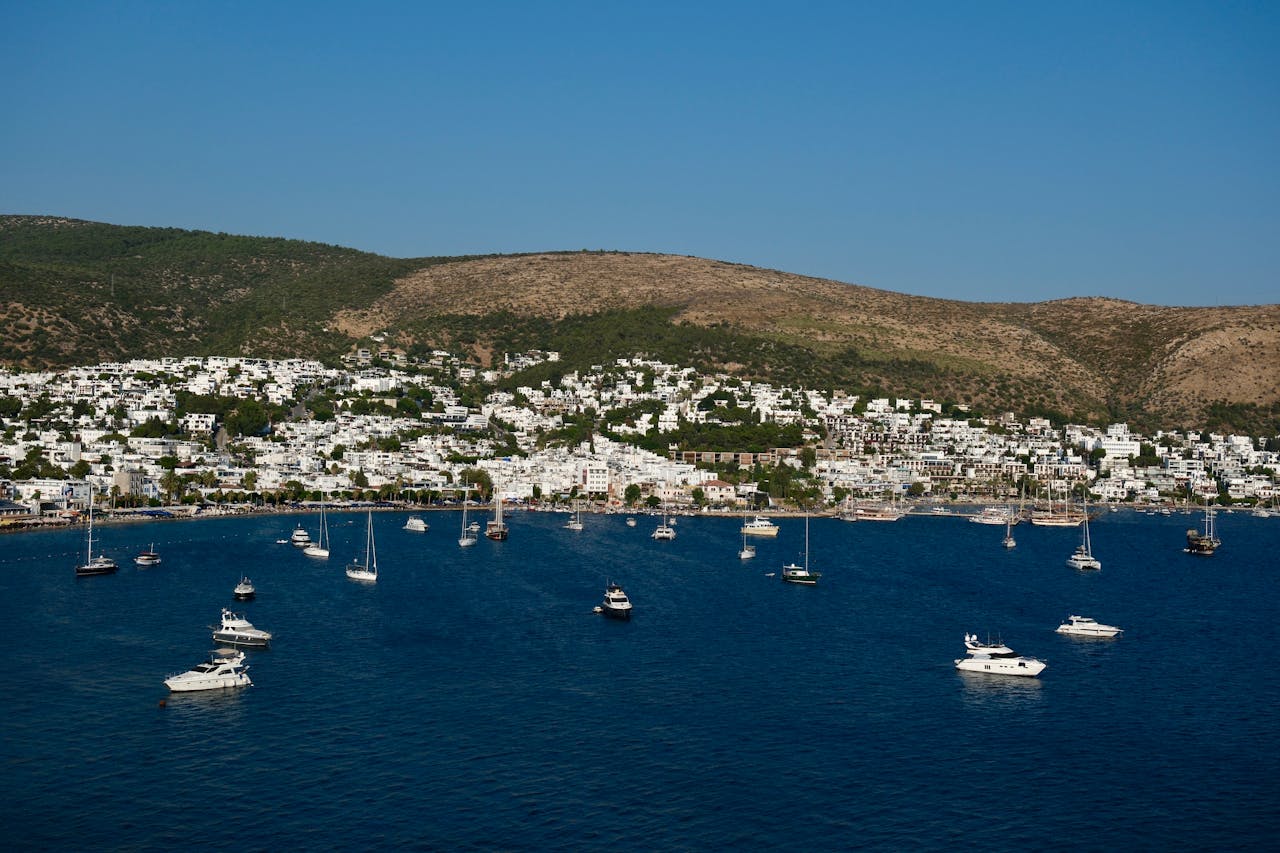A Complete Guide to Travel Cruises for 2024