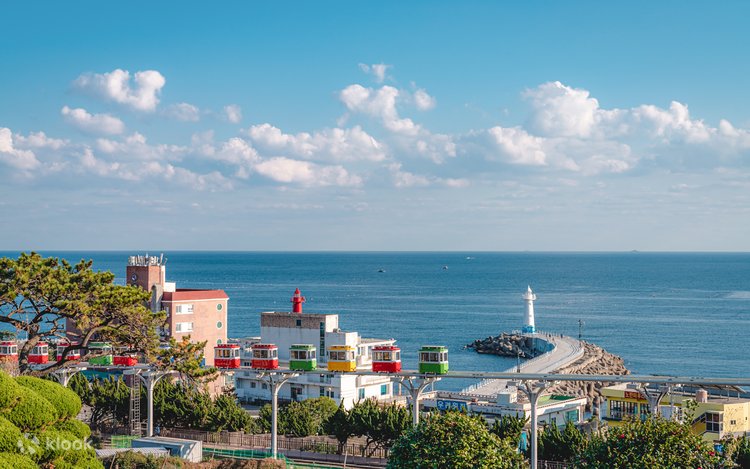 Busan private tour: A Personalized Way to Explore Korea’s Coastal Gem